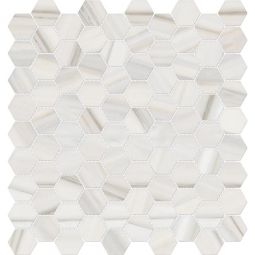 Tesoro Mayfair - Zebrino Gray Hexagon Polished 1.25" x 1.25"