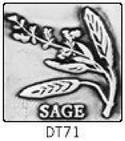 Solid Pewter Dots DT71 - 2" Sage