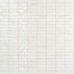 Tesoro Gleeze - Bianco Glossy  2" x 6" Tile