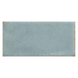 Emser Antigo - Mist 2" x 5' Ceramic Tile