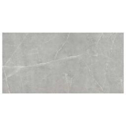 Emser Sterlina II - Gray 12" x 24" Polished Porcelain Tile