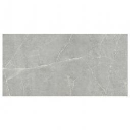 Emser Sterlina II - Gray 12" x 24" Matte Porcelain Tile