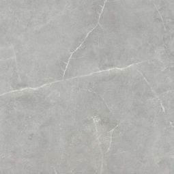 Emser Sterlina II - Gray 24" x 24" Matte Porcelain Tile