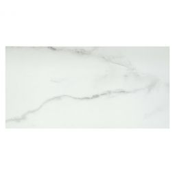 Emser Visconde - Silver 12" x 24" Matte Porcelain Tile