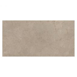 Emser Terramor - Fulvo 12" x 24" Porcelain Tile