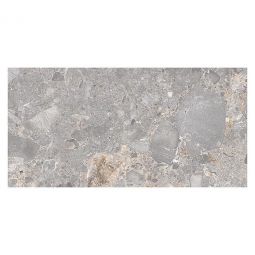 Zio Harmonic - Coda 12" x 24" Stellata Matte Porcelain Tile