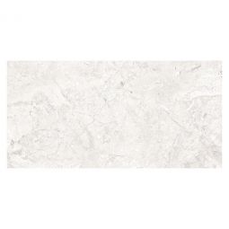 Zio Harmonic - Forte 12" x 24" DCOF Matte Porcelain Tile