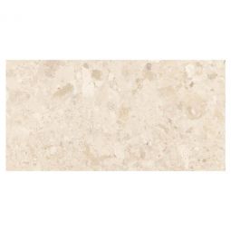 Zio Harmonic - Arpeggio 12" x 24" DCOF Matte Porcelain Tile