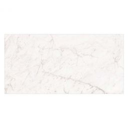 Zio Harmonic - Libretto 12" x 24" Polished Porcelain Tile