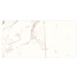 Zio Harmonic - Overture 12" x 24" Polished Porcelain Tile