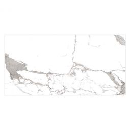 Zio Harmonic - Tocatta 12" x 24" Polished Porcelain Tile