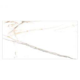 Zio Harmonic - Outro 12" x 24" Polished Porcelain Tile