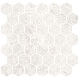 Zio Harmonic - Forte DCOF Matte Hex Mosaic