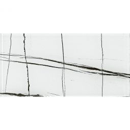 Zio Yosemite - December Tracks 9" x 18" Glass Tile